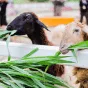 探索体育电竞的魅力 - 宝威体育